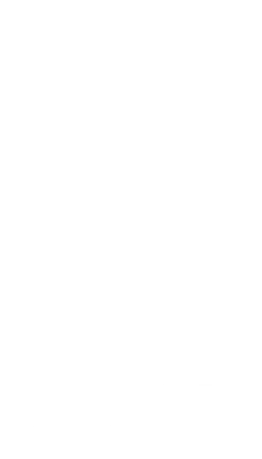 Triage Web Studios, Scale Smart